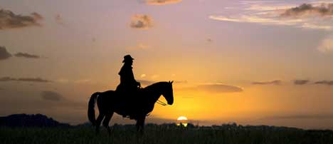 Westernshop