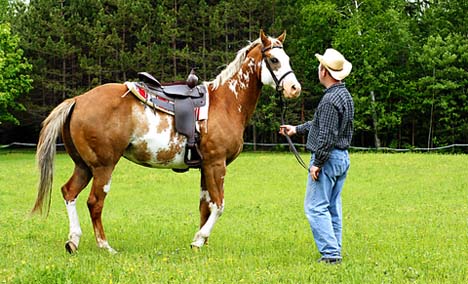 Western Hobby, der Westernreiten Westernreiten